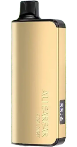 ALI BARBAR INGOT - 9000 PUFFS - Double Apple